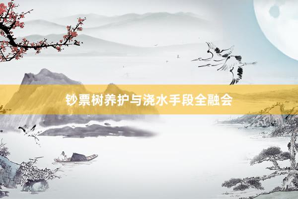 钞票树养护与浇水手段全融会